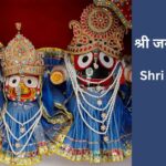 shri-jagganath-aarti-chaturbhuja-jagannatha