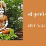 shri-tulsi-stotram