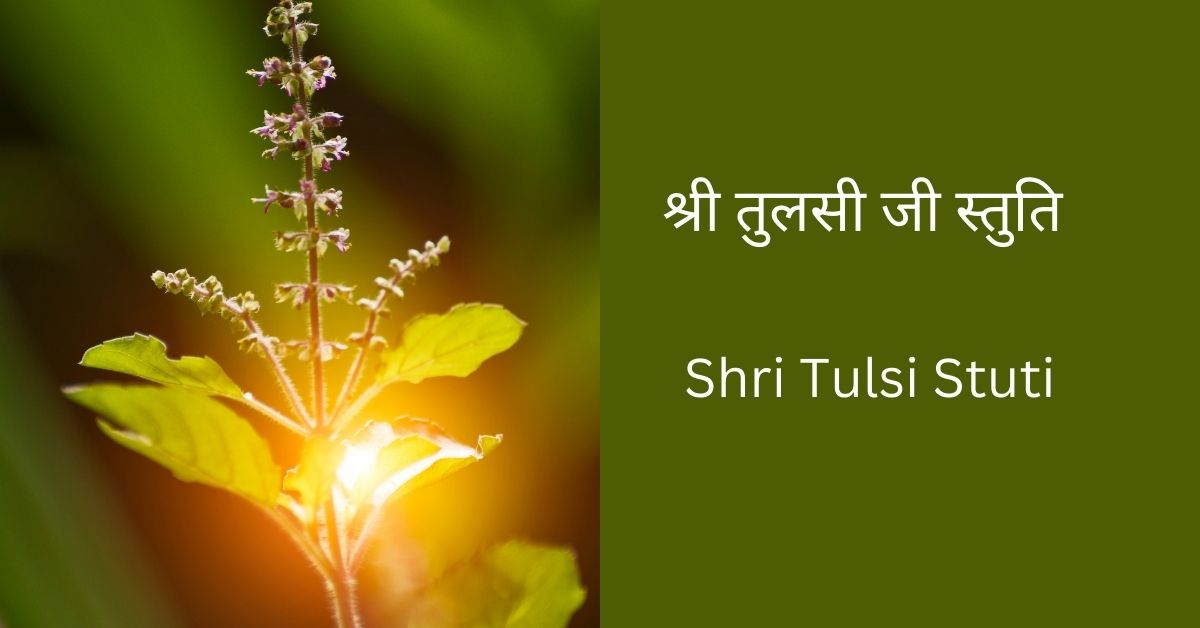 श्री तुलसी जी स्तुति (Shri Tulsi Stuti) with PDF also - ChalisaPDF.net ...